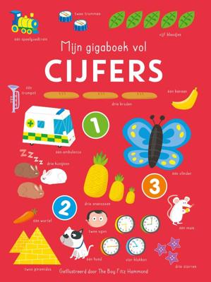 Mijn gigaboek vol cijfers (Paperback)