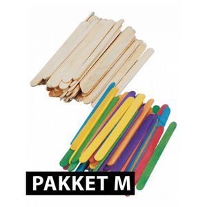 288x ijslolly houtjes pakket assorti