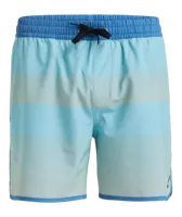 Quicksilver Surfsilk Scallop 16" Zwembroek