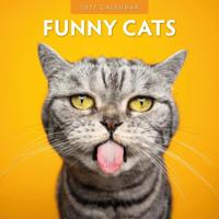 Funny Cats Kalender 2027