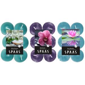 Candles by Spaas geurkaarsen - 36x stuks in 3 geuren - Maxi theelichtjes van 4.5 branduren