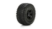 1/10 AMP MT/DB Front/Rear Tire, Black Wheel, Premounted (2) (ECX43012)