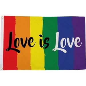 Regenboog LGBT vlag Love is Love 90 x 150 cm verticale strepen