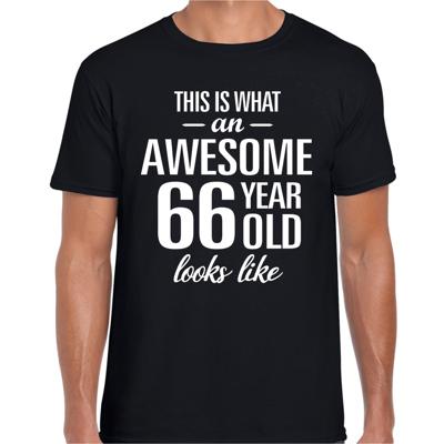 Awesome 66 years - geweldig 66 jaar cadeau t-shirt - zwart - voor heren - Verjaardag cadeau