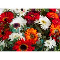 Inductiebeschermer - Red and White Flowers - 81.2x52 cm