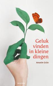 Geluk vinden in kleine dingen (Hardback)