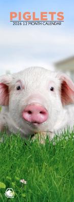 Biggen Slimline Kalender 2026