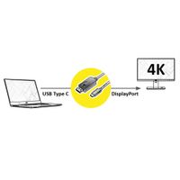 Value 11.99.5846 video kabel adapter 2 m DisplayPort USB Type-C Zwart - thumbnail