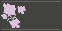 Vinyl tapijt Roze magnolia bloemen en bladeren