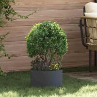 Tuinplanten 5 stuks Anthraciet 30x30x20 cm Staal