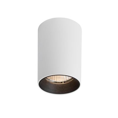 Opbouwspot BWS Delilah 7.2x11 cm Dim to Warm Wit