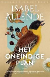 Het oneindige plan (Paperback)