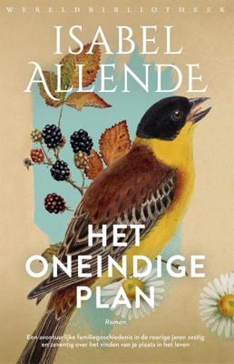 Het oneindige plan (Paperback)