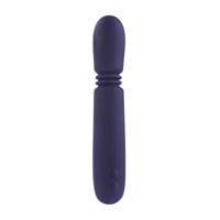 Kogel Vibrator Evolved Paars