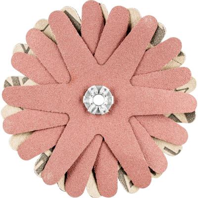 PFERD TOOLS 42732129 Schuursterren Diameter 80 mm 10 stuk(s)