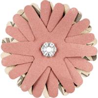 PFERD TOOLS 42732129 Schuursterren Diameter 80 mm 10 stuk(s)