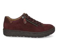 Hartjes Phil 162.1431 aubergine aubergine maat 38