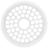 ArrowMax Nylon Recht tandwiel Soort module: 48 DP Aantal tanden: 80