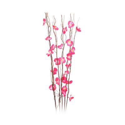 Decoratieve plant