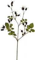 Pure Royal kunsttak rozenbottel 67cm zwart Pure Royal kunsttak rozenbottel 67cm zwart