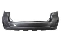 Bumper 5506006715950P