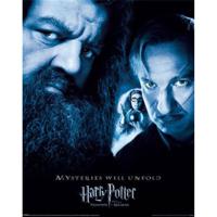 Poster Harry Potter the Prisoner of Azkaban 40x50cm