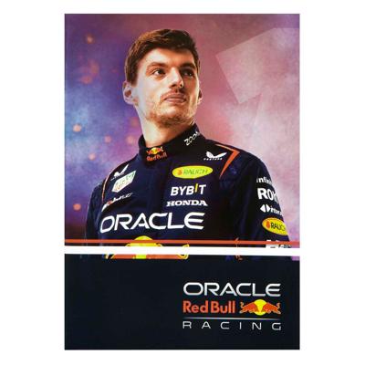 Undercover Notitieboeken set red bull racing max verstappen, 3st.