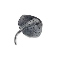 Pluche pijlstaartrog - knuffeldier - 60 cm - zeedieren - speelgoed - voor kinderen