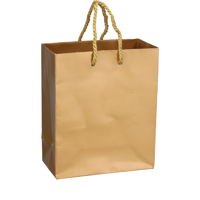 Tas | Papier | met koord | 16x 8x19cm | draagtas | goud | 100 stuks