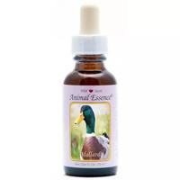 Animal Essences Mallard (wilde eend) 30 Milliliter