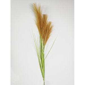 Pampas gras 80cm met blad bruin - Buitengewoon de Boet