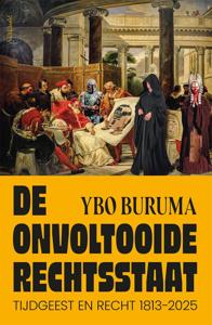 De onvoltooide rechtsstaat (Hardback)