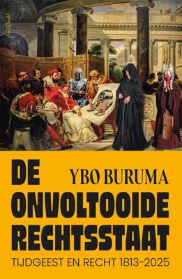 De onvoltooide rechtsstaat (Hardback)