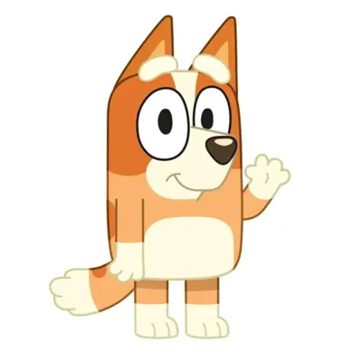 Bluey sierkussen 21 x 31 cm Bluey sierkussen 21 x 31 cm