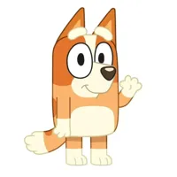 Bluey sierkussen 21 x 31 cm