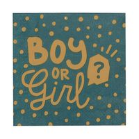 Gender Reveal Servetten Boy or Girl (20st) - thumbnail