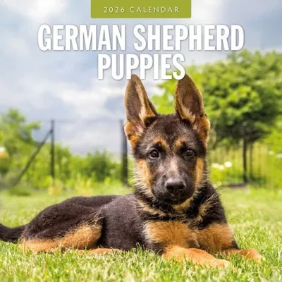 Duitse Herder Puppies Kalender 2026