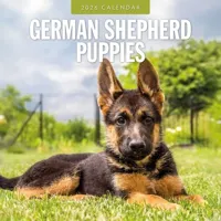 Duitse Herder Puppies Kalender 2026