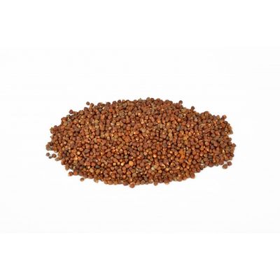 Paradijszaad 1 kg