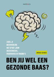 Ben jij wel een gezonde baas? (Paperback)