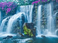 Tuinposter waterval