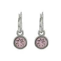 Biba Hang Oorbellen met Swarovski Steentje Rosaline