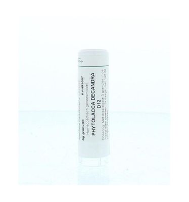 Phytolacca decandra D12