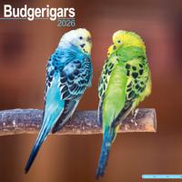 Parkieten Kalender 2026