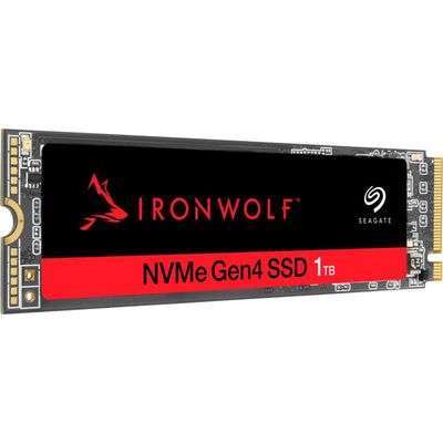 IronWolf 525, 1 TB SSD