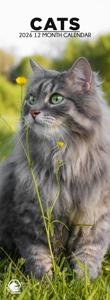 Katten Slimline Kalender 2026