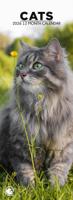 Katten Slimline Kalender 2026