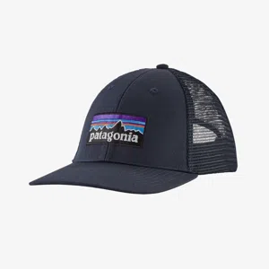 Patagonia P-6 Logo LoPro skate cap