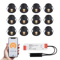 Set van 12 Betty Smart LED Mini Inbouwspots - Veranda spots - 12V 3W 140lm - Dimbaar - Wifi & Bluetooth - 2700K - IP44 waterdicht - Zwart