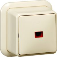 Gira 2-polige schakelaar opbouw met lampje creme